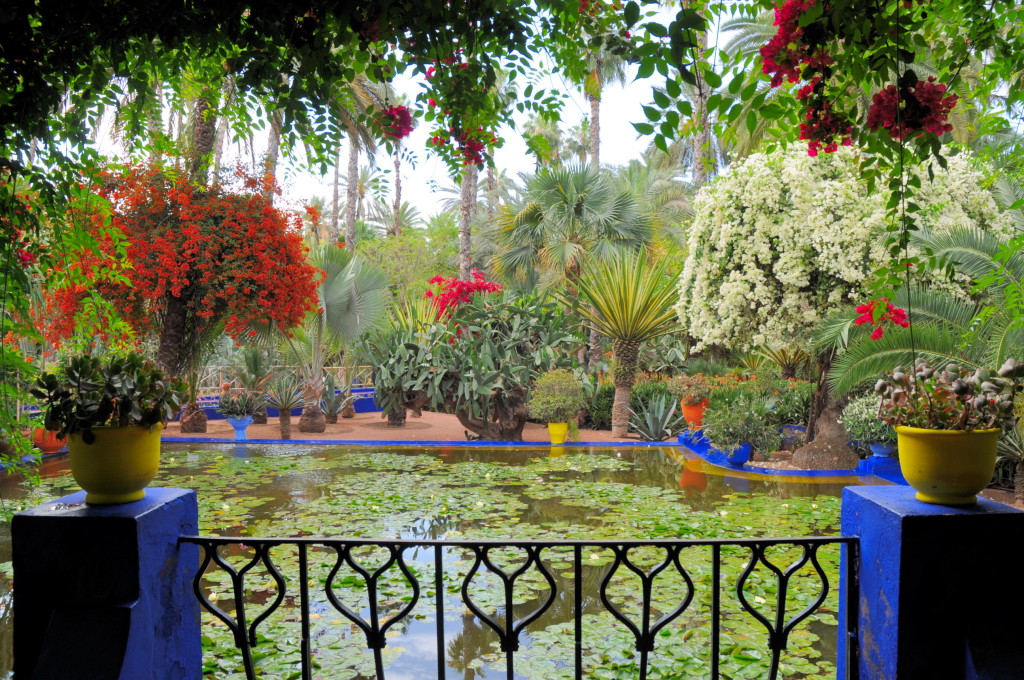 448237_sad_morocco_marrakech_jardin-majorelle_2590x1720_www-gdefon-ru