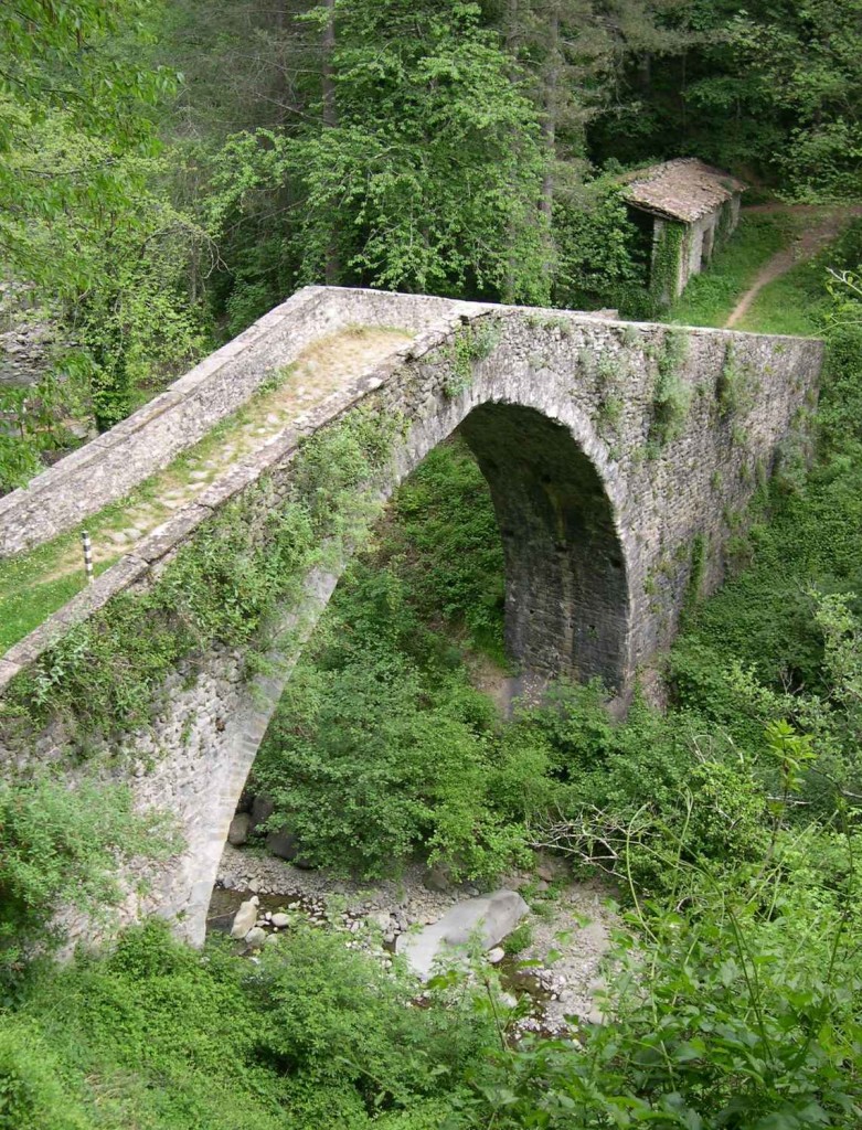 Castiglione Di Garfagnana Ponte Medioevale - foto Archenzo