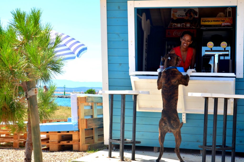 Monty's dog beach and bar_Crikvenica (10)