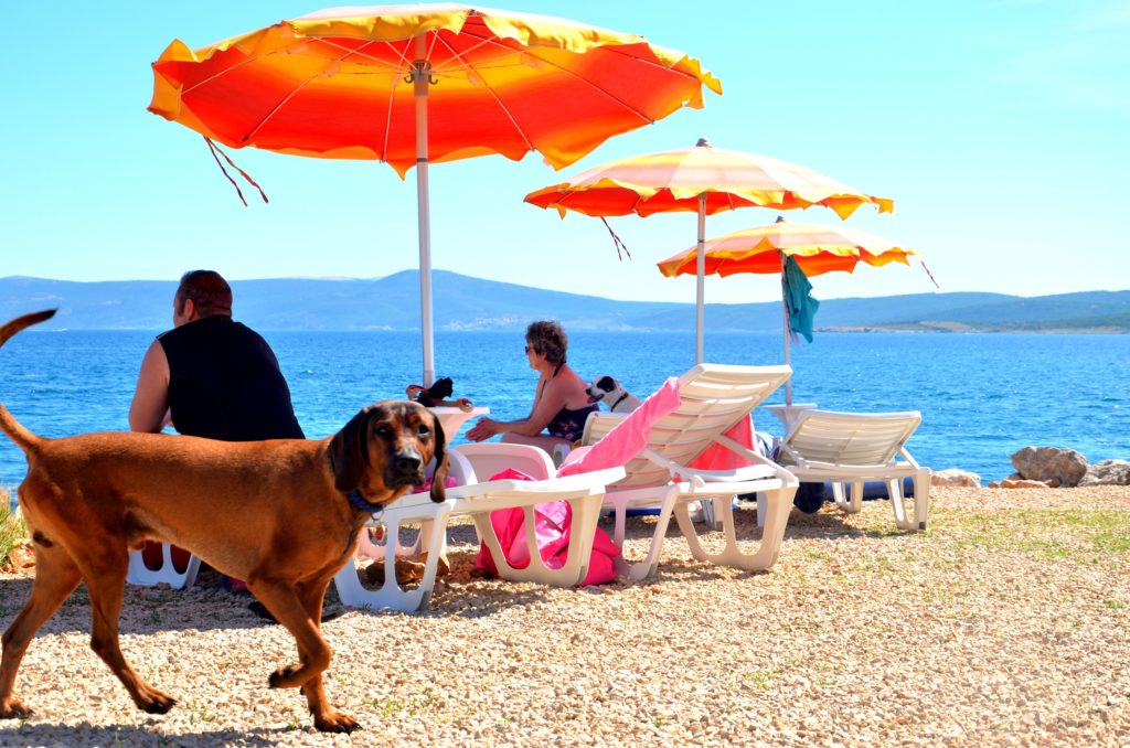 Monty's dog beach and bar Crikvenica)