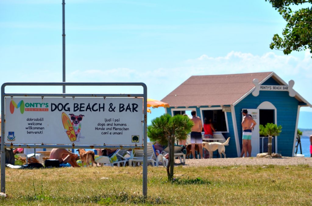 Monty's dog beach and bar_Crikvenica (6)