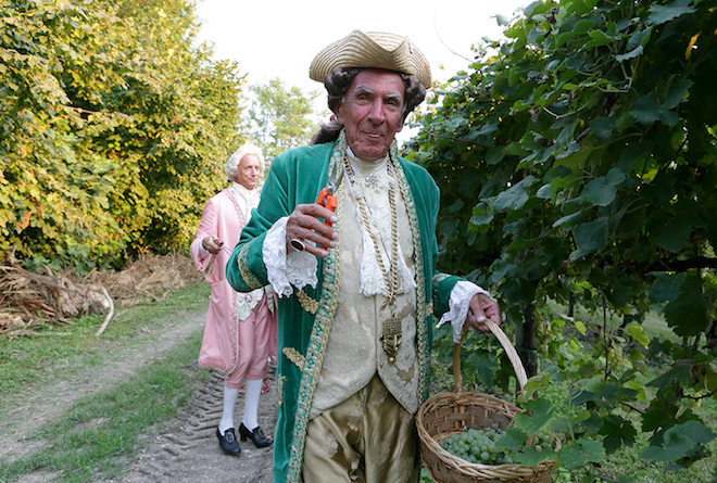 vendemmia-2015-9