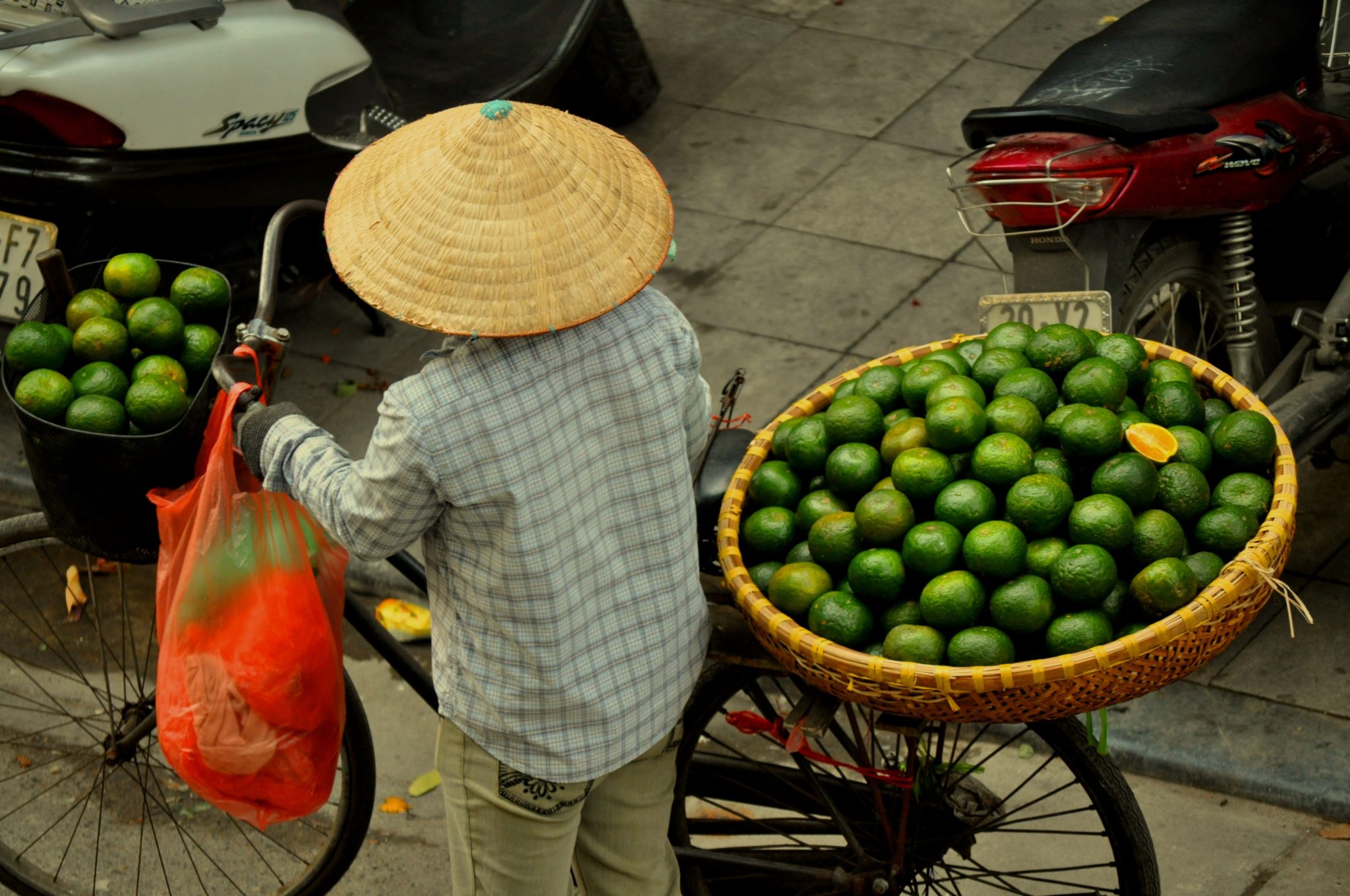 Vietnam - Hanoi Venditrice di frutta