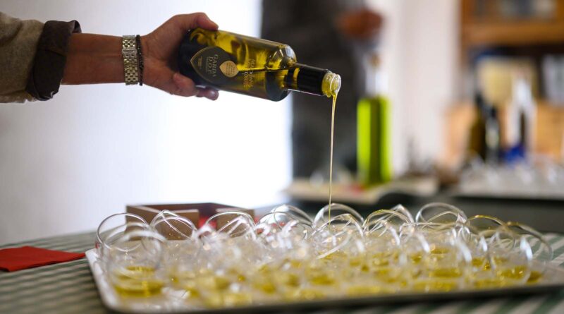Degustazione di olio