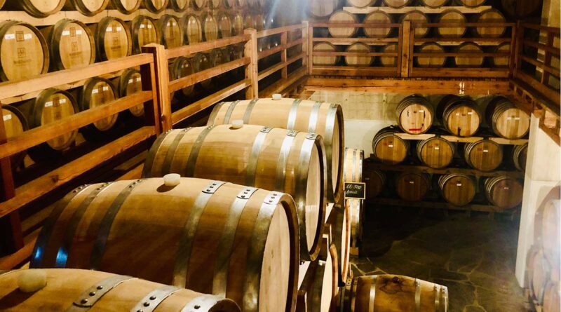 L’autunno ad Arco, dall’olio alla grappa